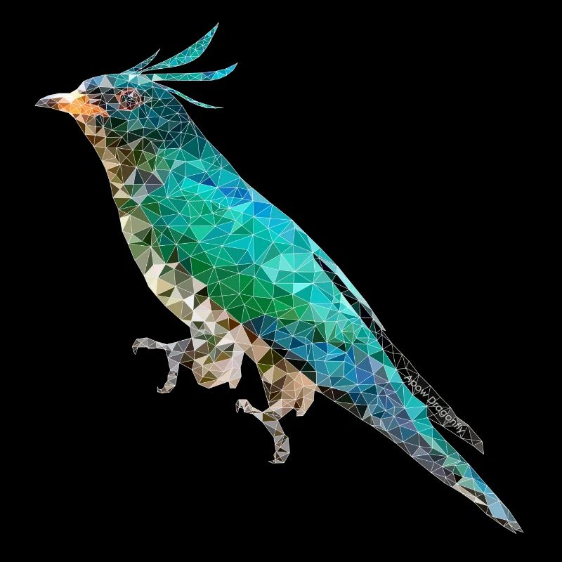 Oiseau ~ le Coucou Emeraude