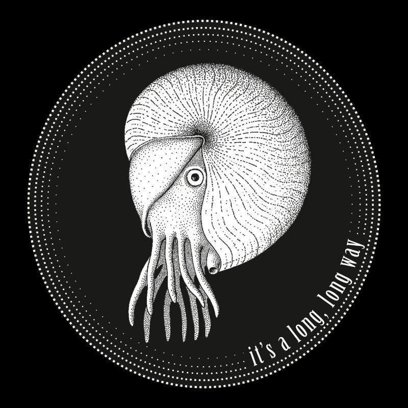 Céphalopodes, en déplacement