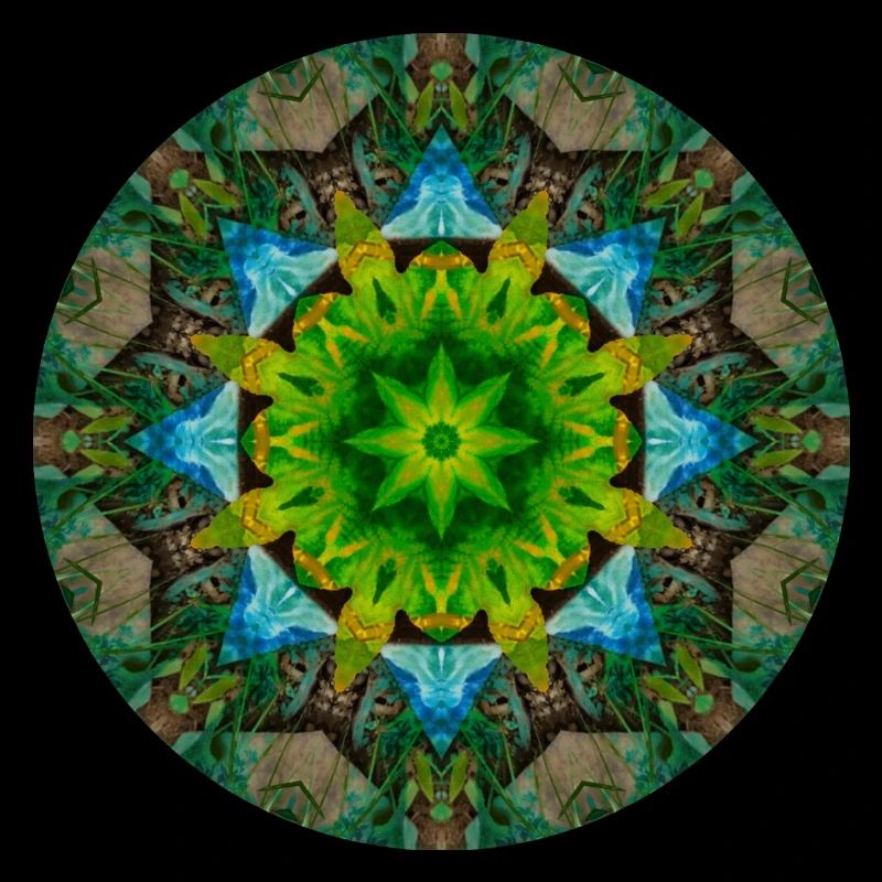 Mandala-Quantum 4