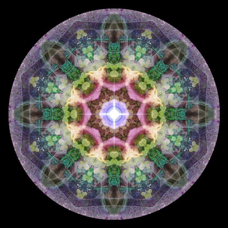 Mandala-Quantum 6