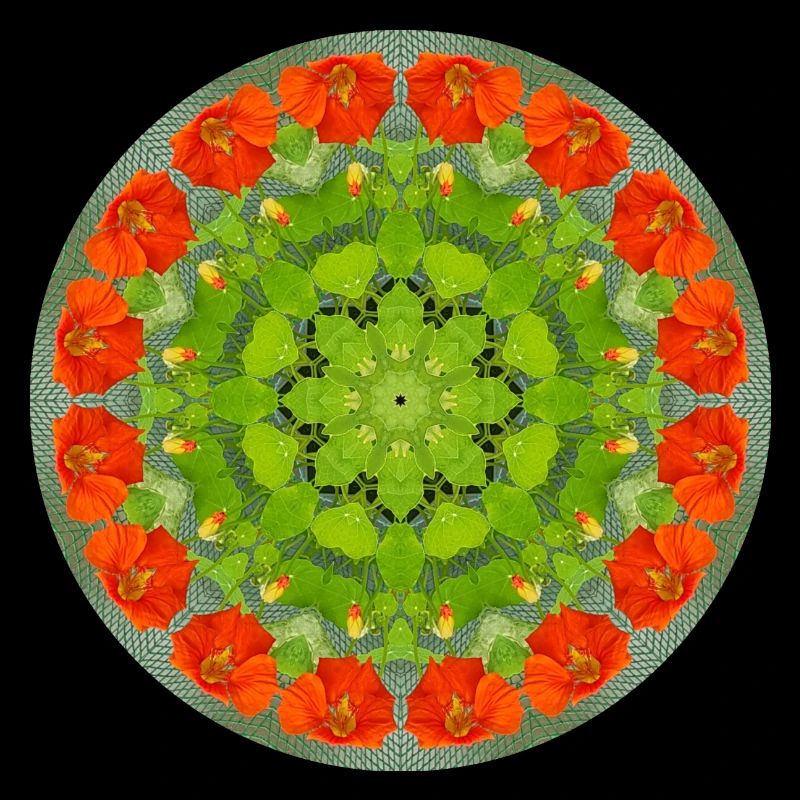 Mandala-Quantum 10