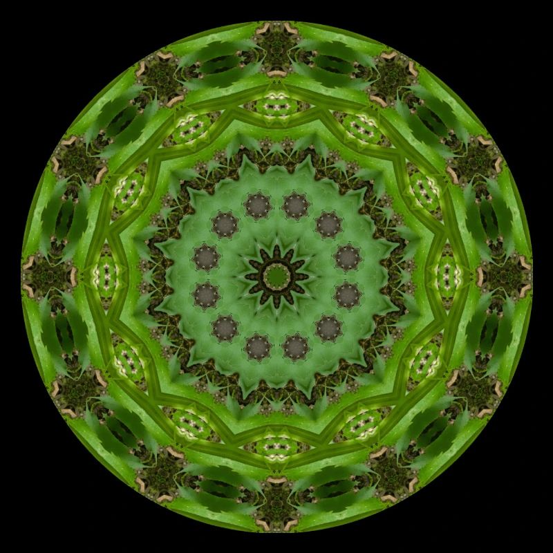 Mandala Graal 6