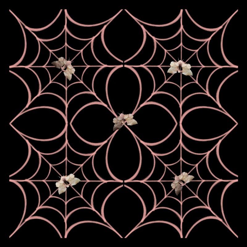 Spiderweb ByRino