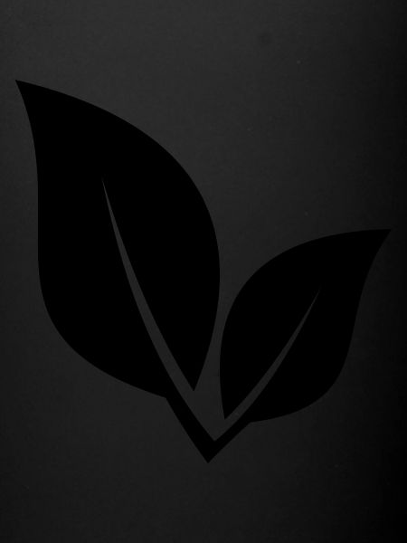 Leaf 27