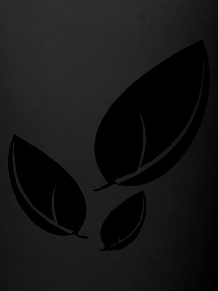 Feuille 18