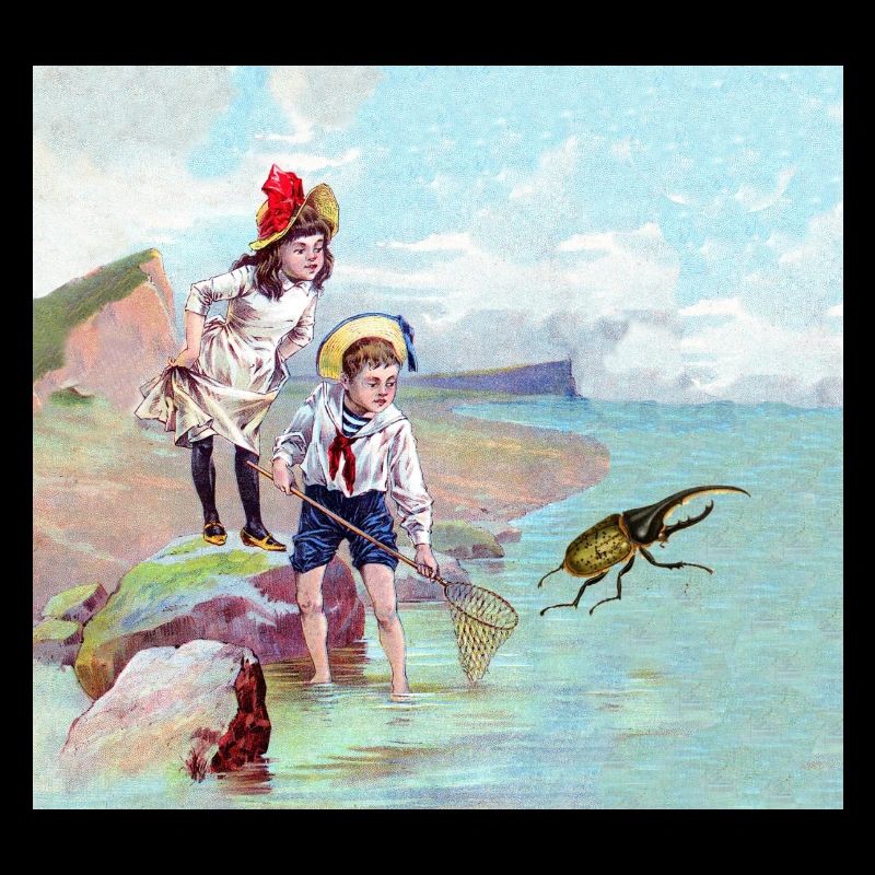 Children catching bugs