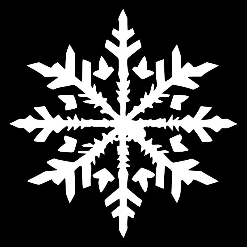 Snowflake Snow Winter Christmas Cold 10