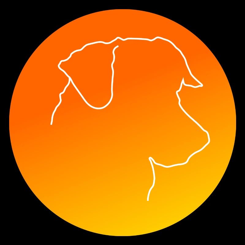 Jack Russel Terrier jaune orangé