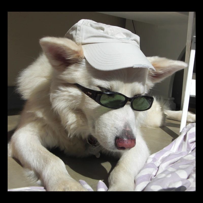 Cohen very cool