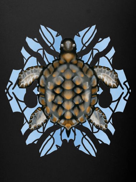 tortue