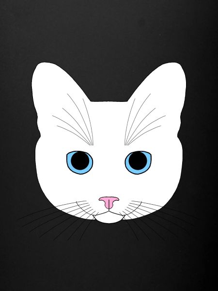 Chat blanc