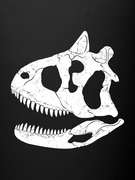 Carnotaurus fossil skull
