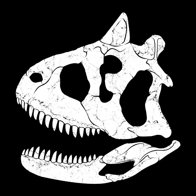 Crâne fossile de Carnotaurus