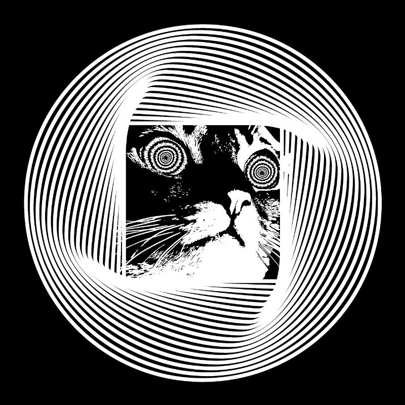 Chat Psychédélique