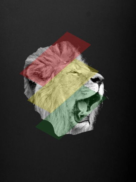 Lion afrique roi