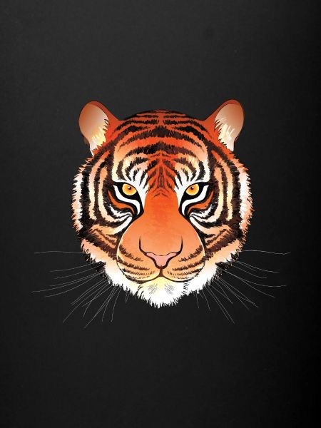 Tiger Face