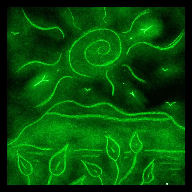 PAYSAGE NOCTURNE VERT