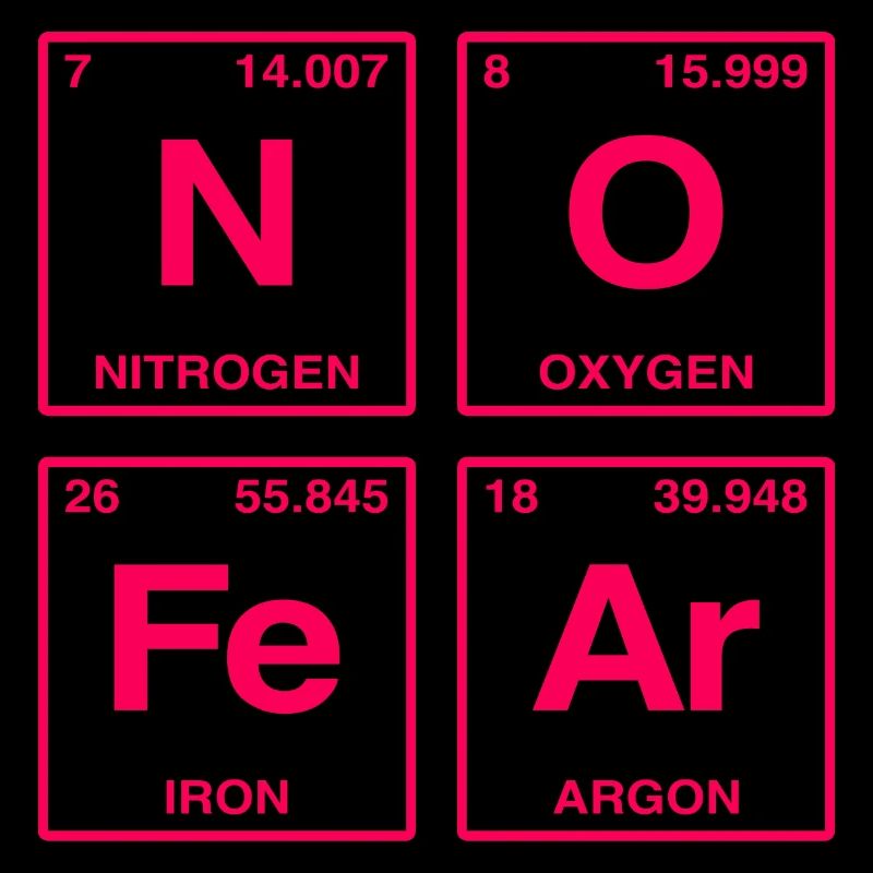 NO FEAR - with elements of the perdiode system