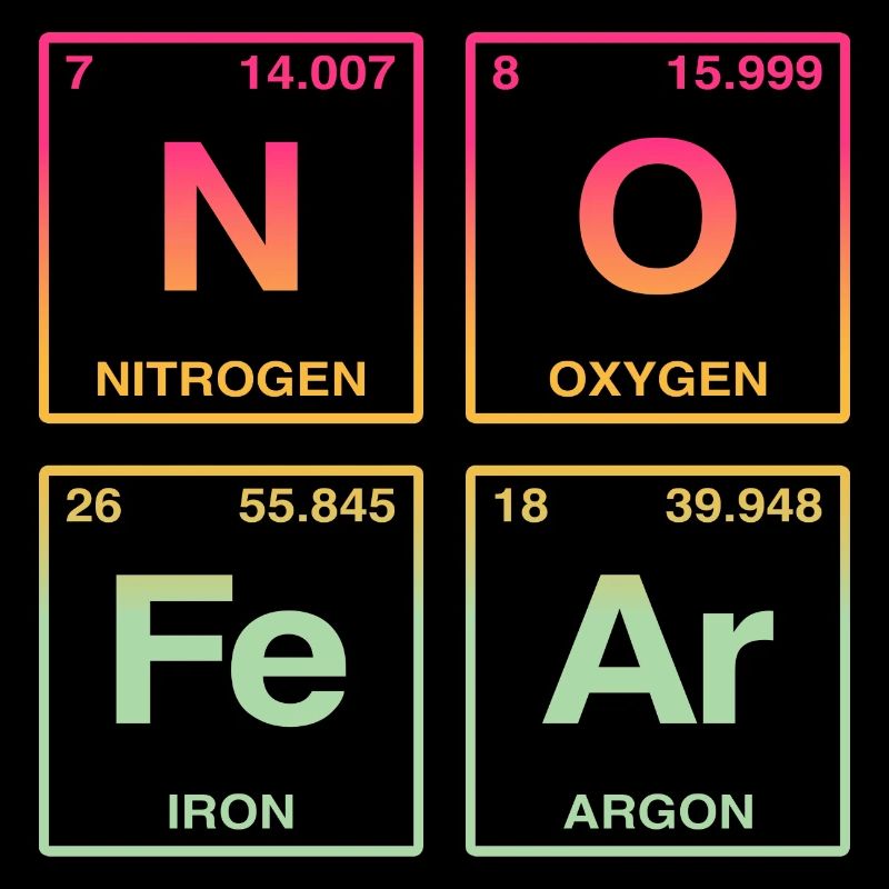 NO FEAR - with elements of the perdiode system