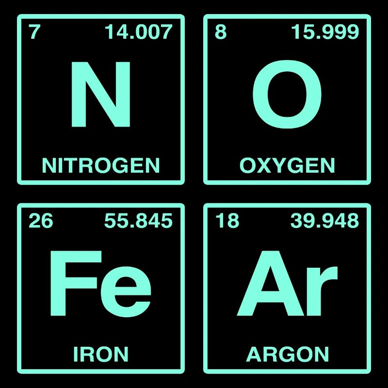 NO FEAR - with elements of the perdiode system