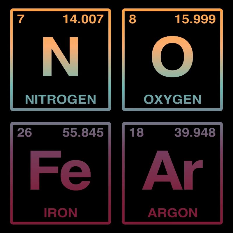 NO FEAR - avec des éléments du système de perdiode