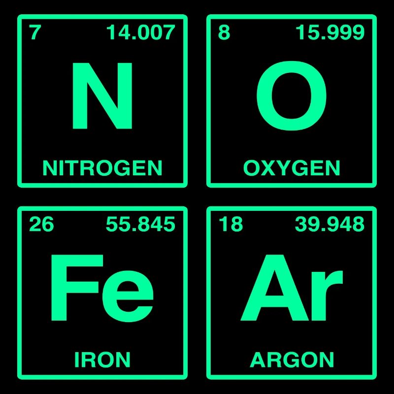 NO FEAR - with elements of the perdiode system