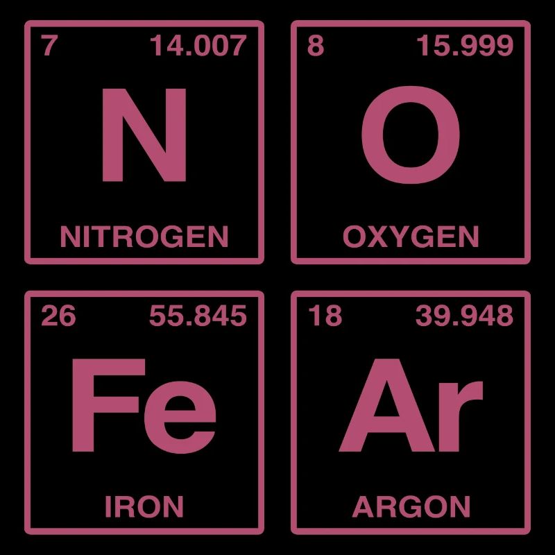 NO FEAR - with elements of the perdiode system