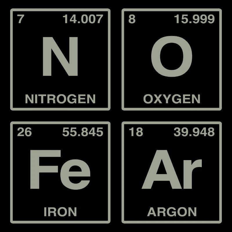 NO FEAR - with elements of the perdiode system