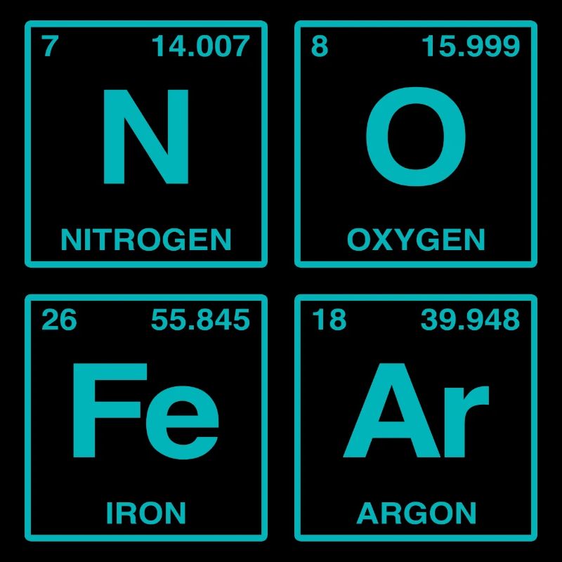 NO FEAR - with elements of the perdiode system