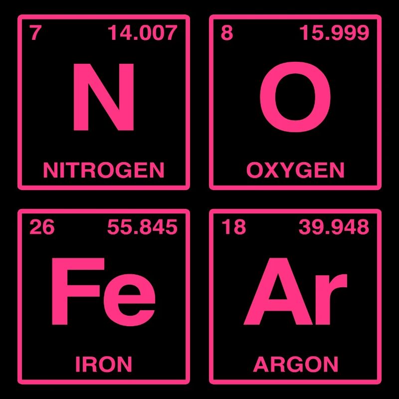 NO FEAR - with elements of the perdiode system