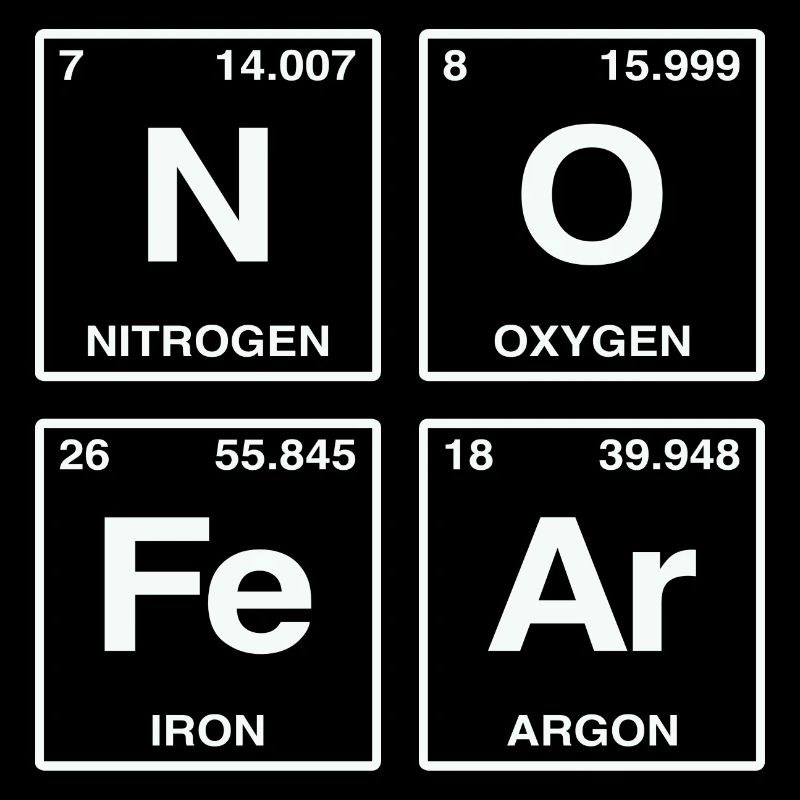 NO FEAR - with elements of the perdiode system