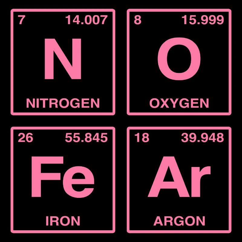 NO FEAR - with elements of the perdiode system