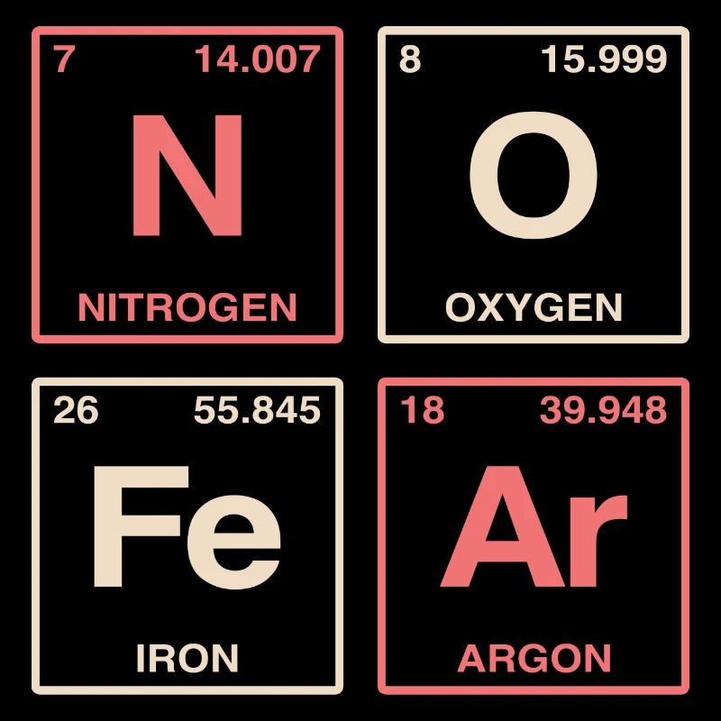 NO FEAR - with elements of the perdiode system