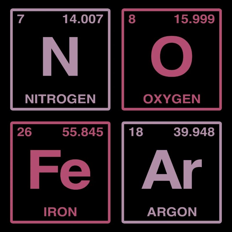 NO FEAR - with elements of the perdiode system