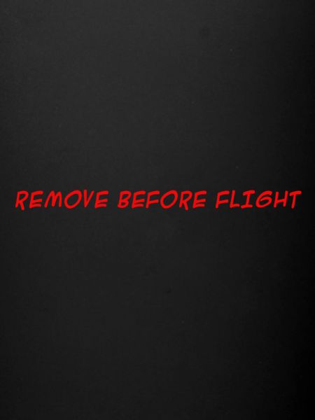 REMOVE BEFORE FLIGHT