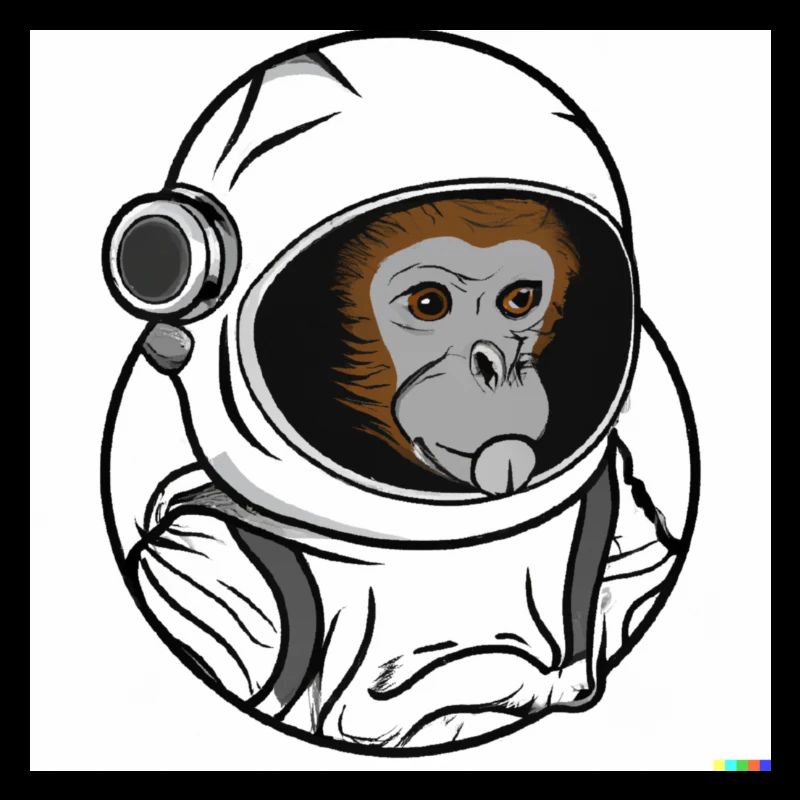 SPACE MONKEY