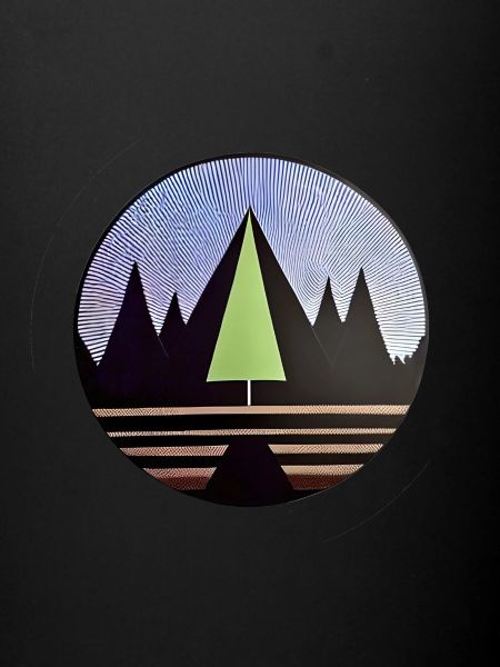 Lonely Fir