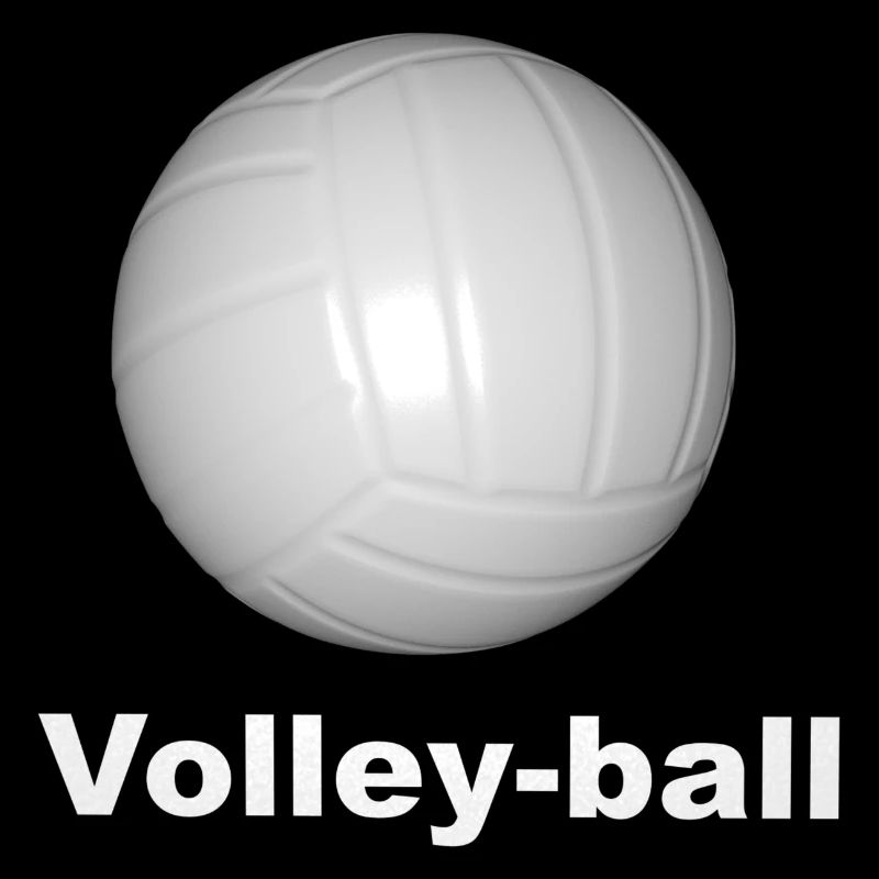 Volley-ball