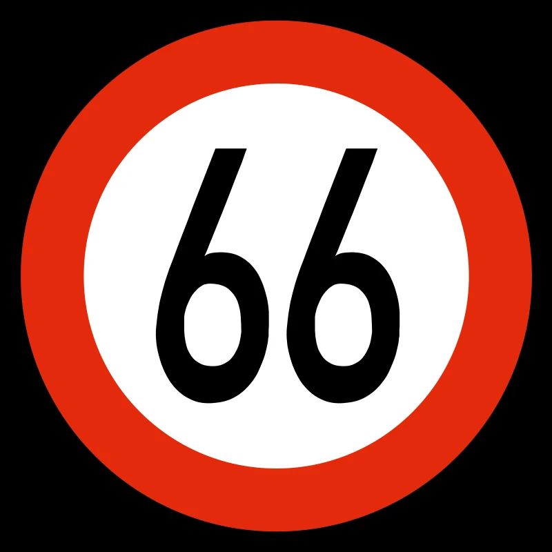 66er