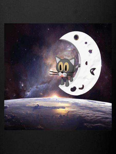 cat in space