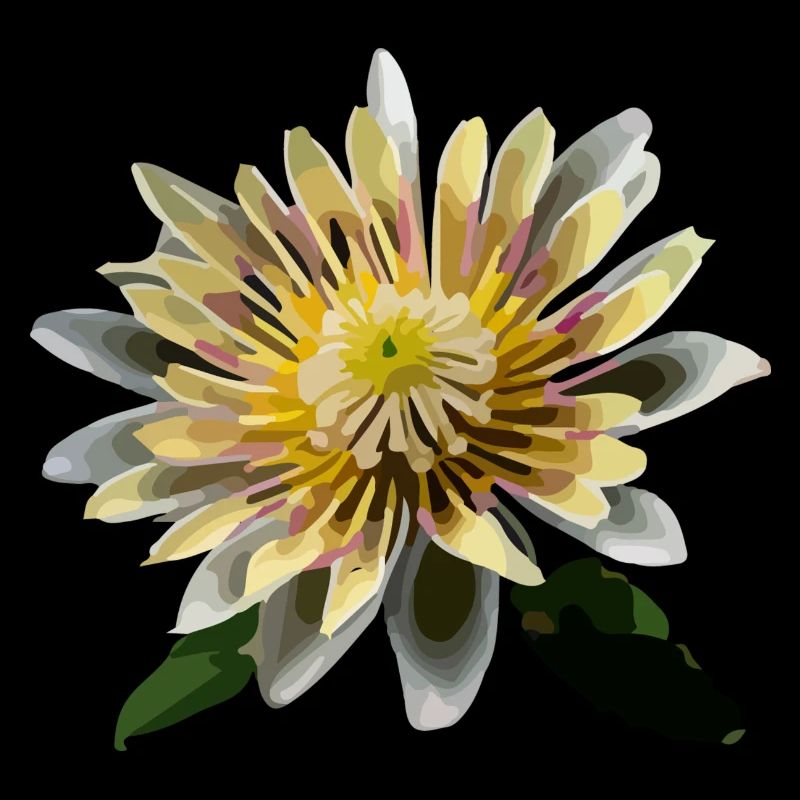 La fleur de nénuphar