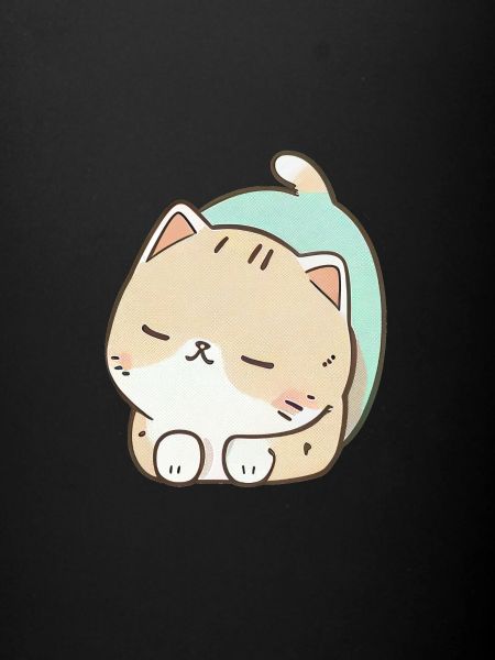 Sleepy Catty