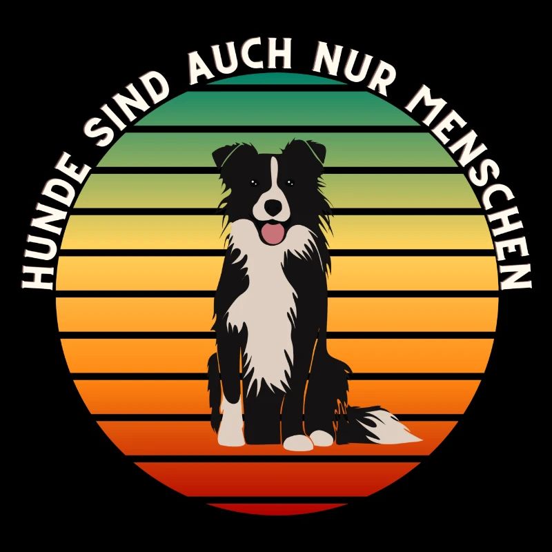 Cute border collie in retro sunset