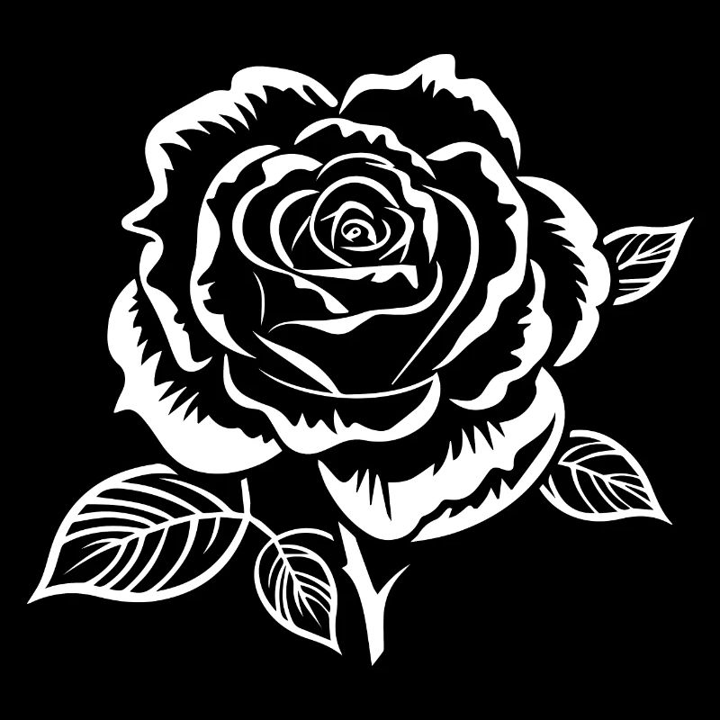 Rose blanche