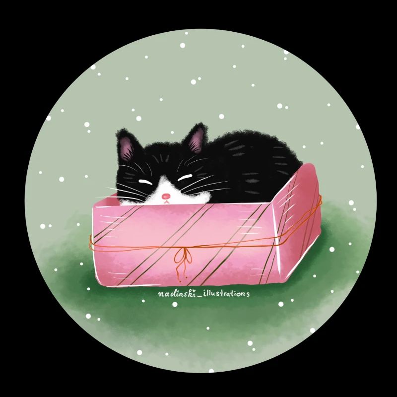 Chat dans la boîte