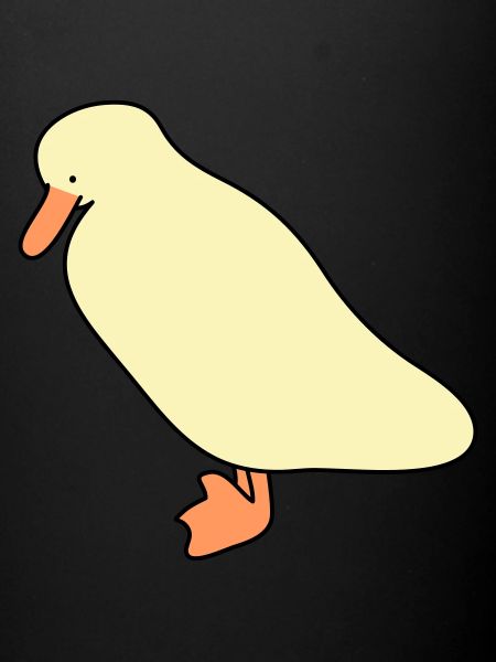 Canard 5