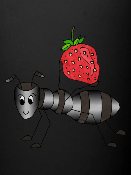 Ant