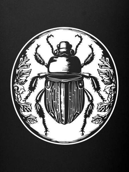 Insectes, bestioles, arthropodes