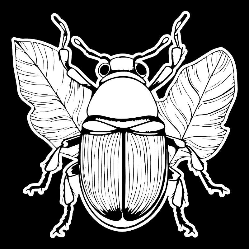 Insectes, bestioles, arthropodes