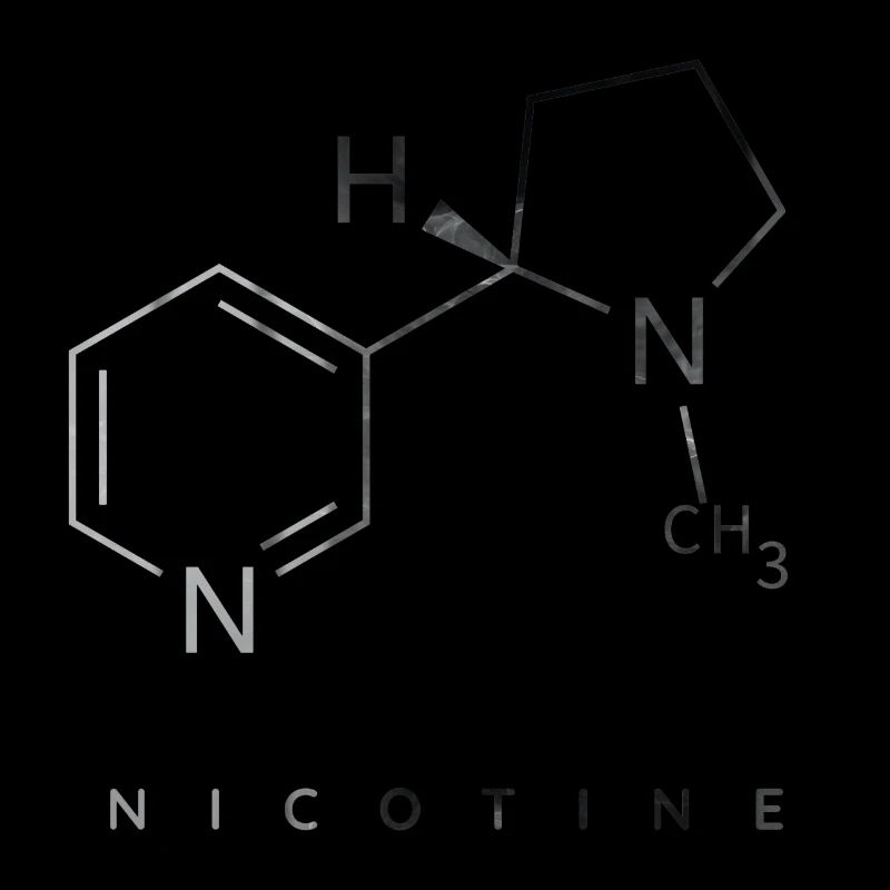 Nikotin-Molekül